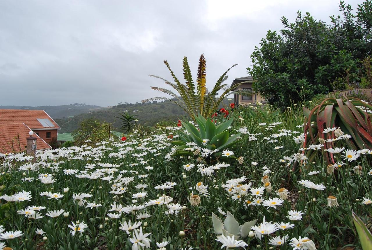 Wilderness Ocean View Cottage Buitenkant foto