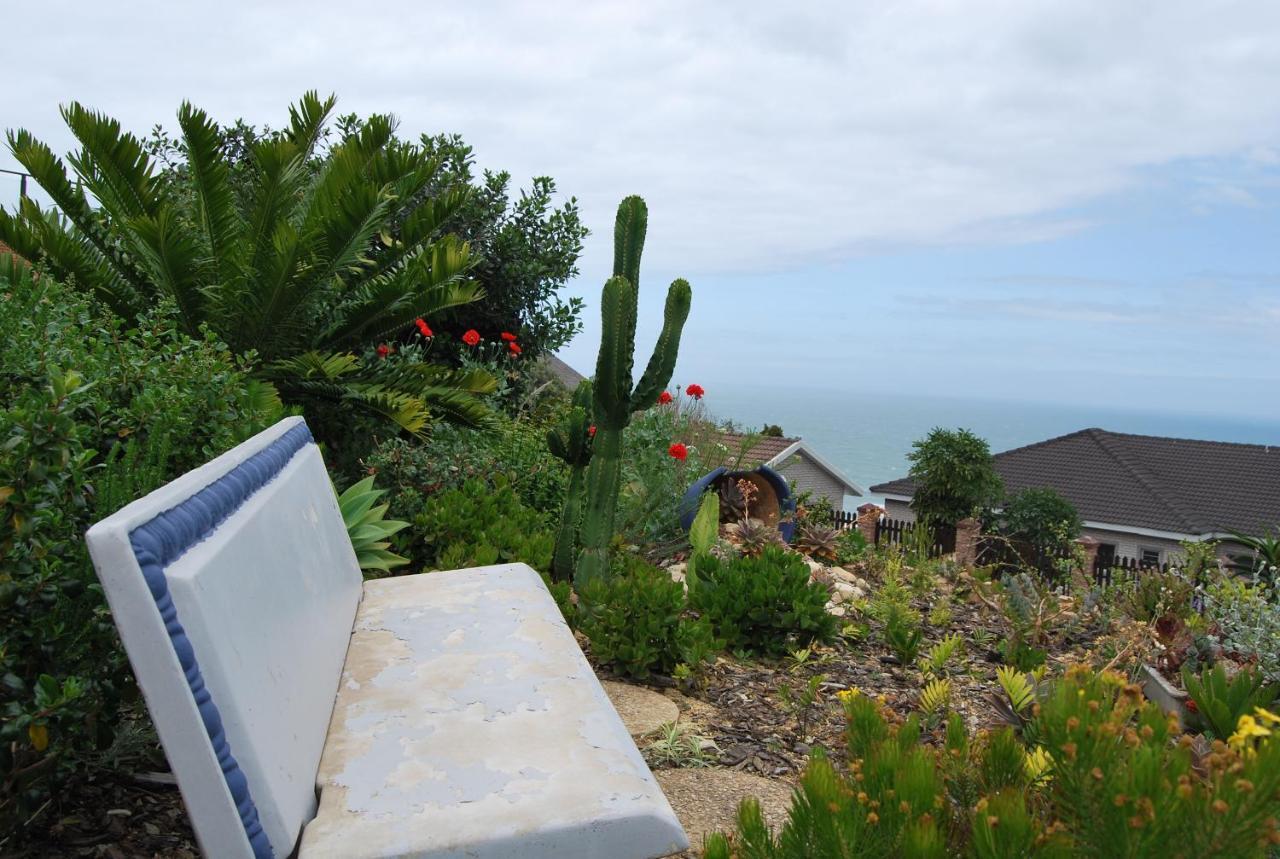 Wilderness Ocean View Cottage Buitenkant foto